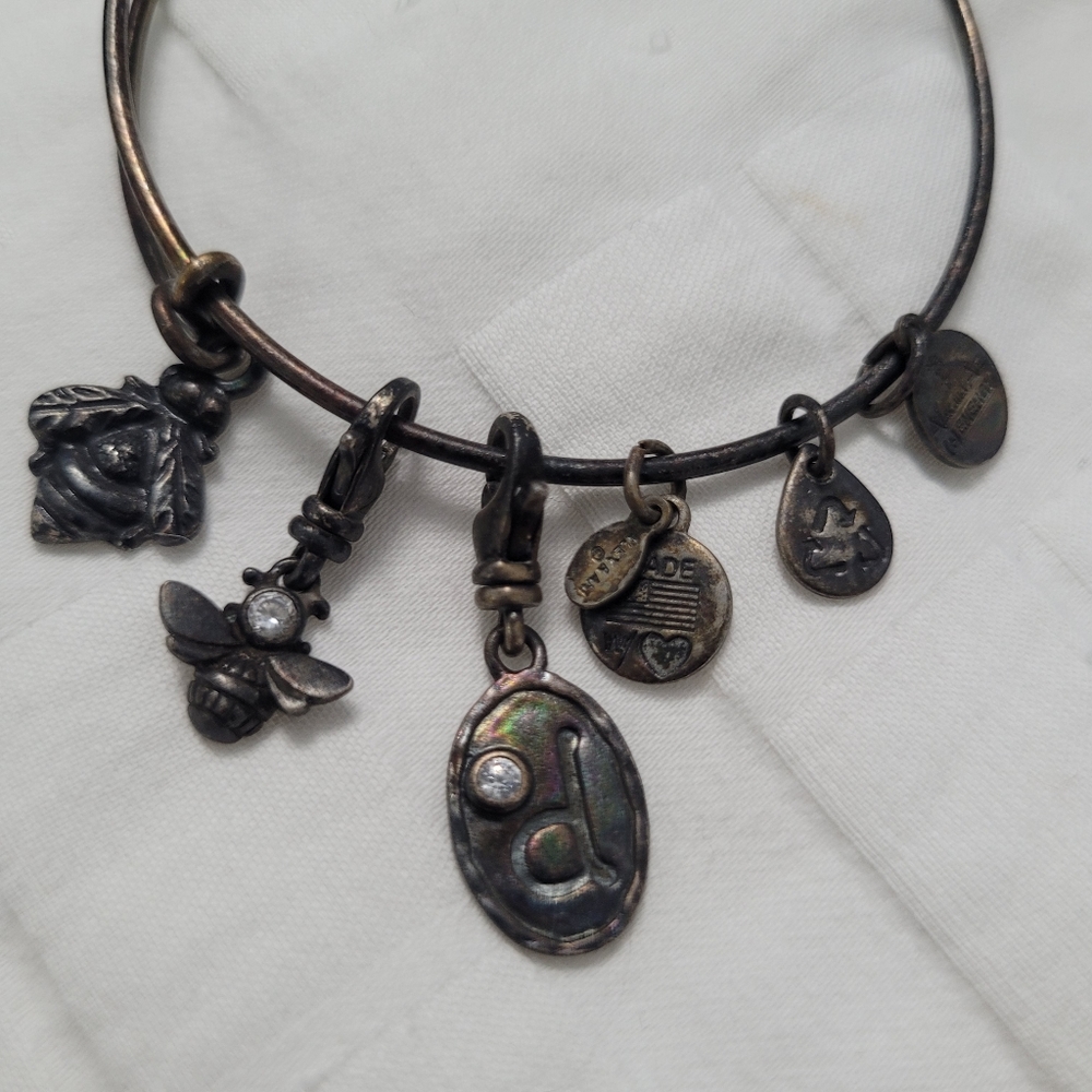 Alex and Ani Bee Charm Bracelet with Extra Charms D Monogram Rhinestones